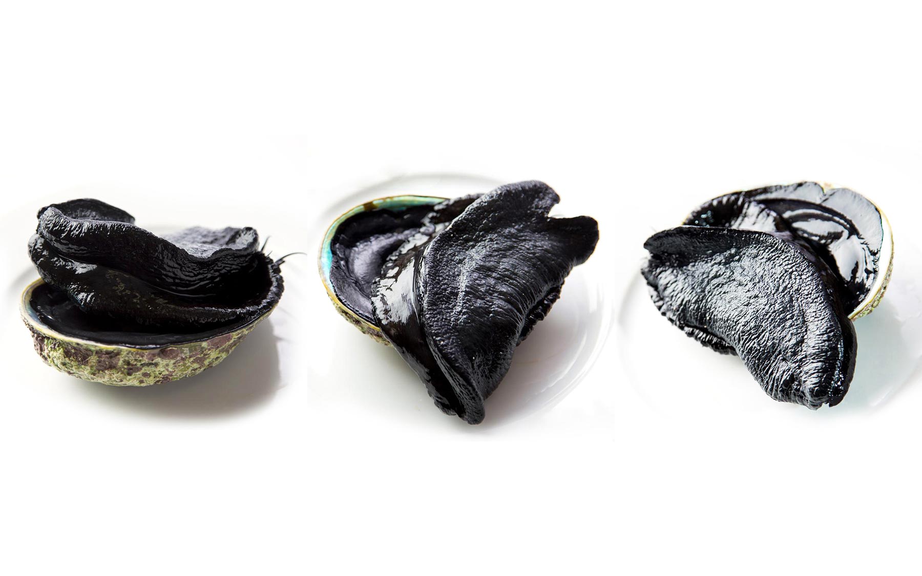 Three wild New Zealand pāua